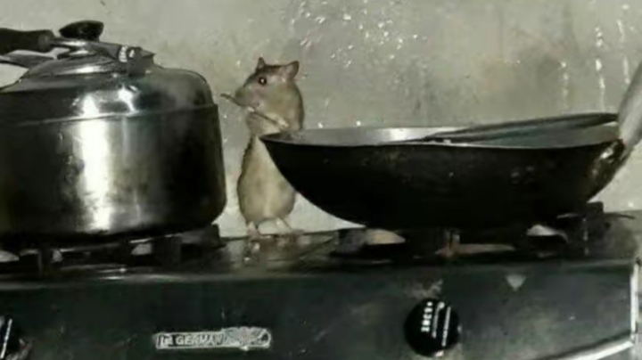 开饭了