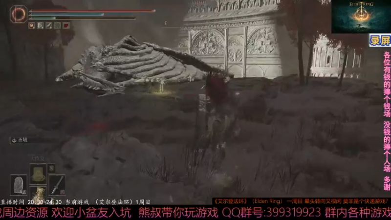 2022-03-12 10-00-10天空无名龙三号 没名字 没血条 掉落 毛都没掉一根