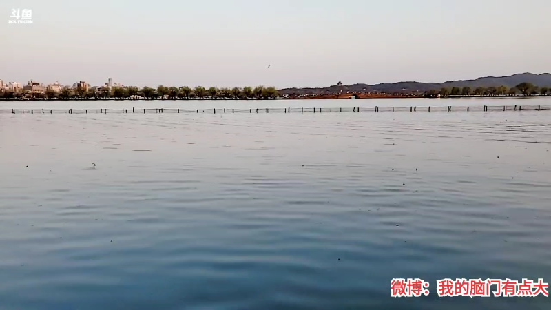 【户外】佳佳喜欢恰仙贝的精彩时刻 20220312 17点场