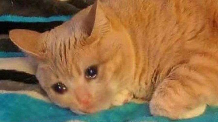 Part6