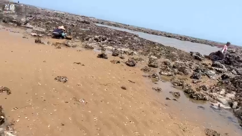 【2022-03-13 12点场】主播阿郎：环海南岛骑行day5