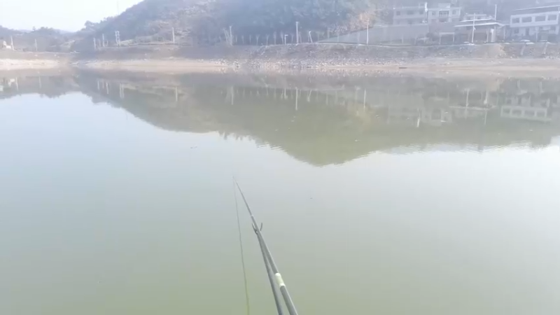 【2022-03-13 09点场】中华户外钓鱼：通山黄尾来试试吧