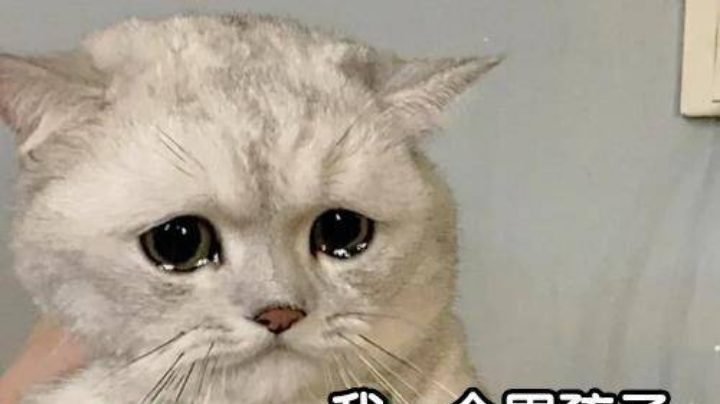 无敌怪物队