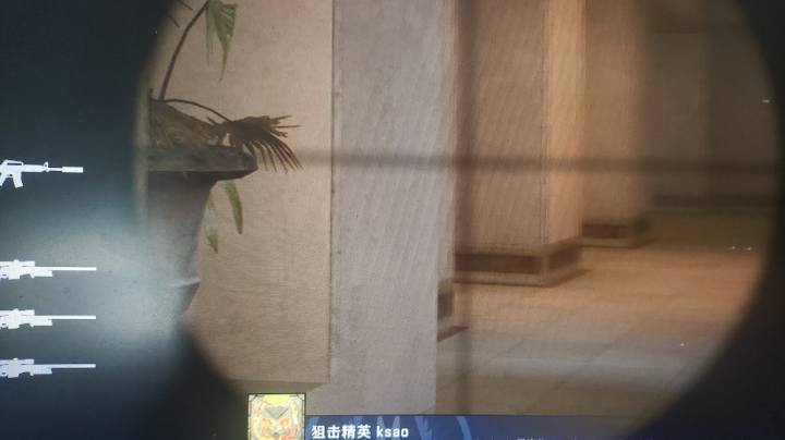 直播回看