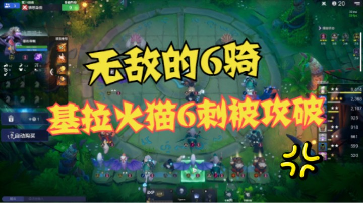 无敌的6骑！基拉火猫6刺也得认怂