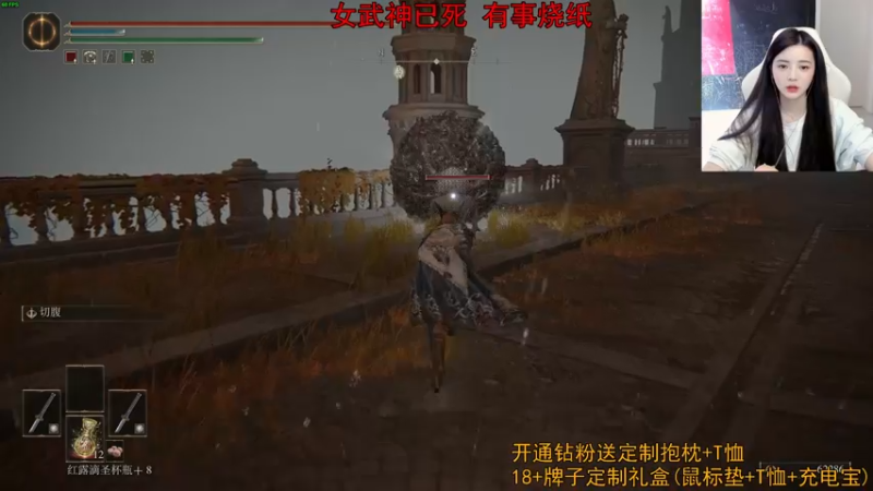 【2022-03-14 14点场】野生小师妹：《女武神和我都别活》