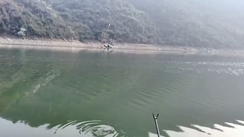 【2022-03-14 07点场】中华户外钓鱼：通山黄尾来试试吧