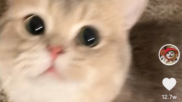 444