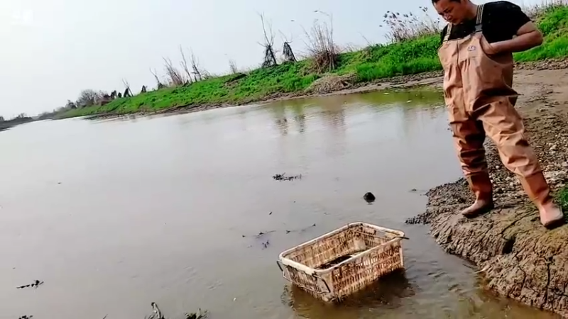 【2022-03-14 14点场】洪湖小肖：晚上7点线上相亲节目 不见不散