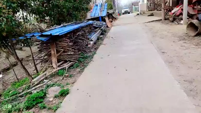 【2022-03-14 16点场】洪湖小肖：晚上7点线上相亲节目 不见不散