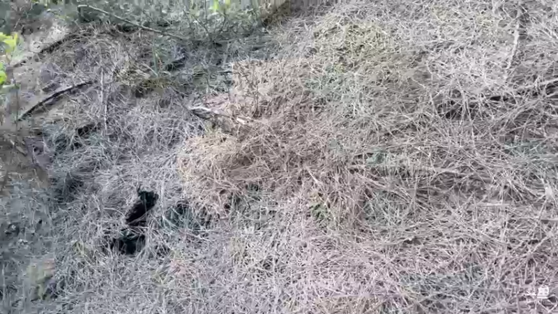 【2022-03-14 10点场】主播阿郎：环海南岛骑行day7