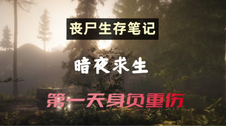 【暗夜求生】第一天就身负重伤！
