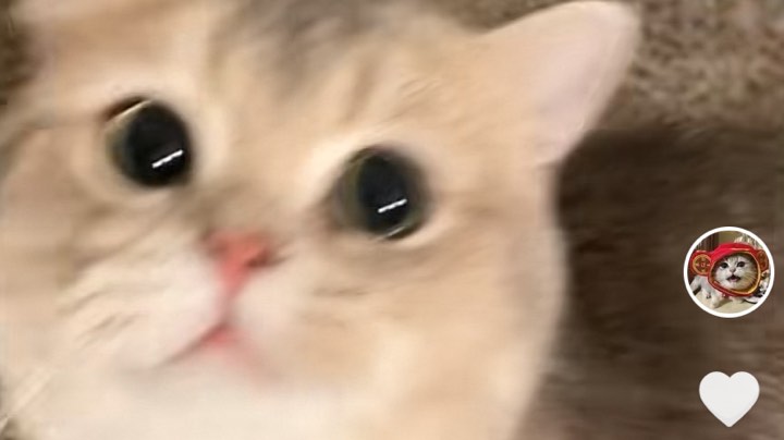 333