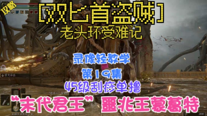 《艾尔登法环》双匕首真·盗贼受苦记，第19集-45级单挑末代君王噩兆王蒙葛特，被NIAO喷死