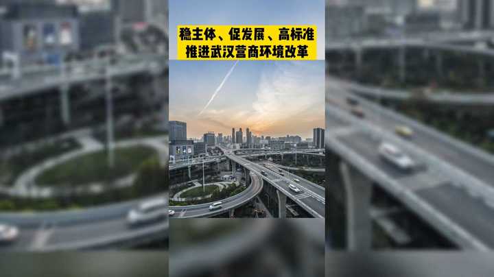 稳主体、促发展、高标准推进武汉营商环境改革1