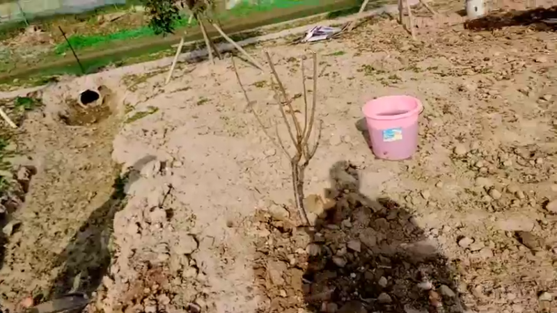 【2022-03-15 15点场】洪湖小肖：出发重庆  337852