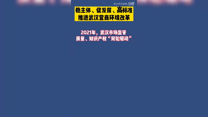稳主体、促发展、高标准推进武汉营商环境改革4