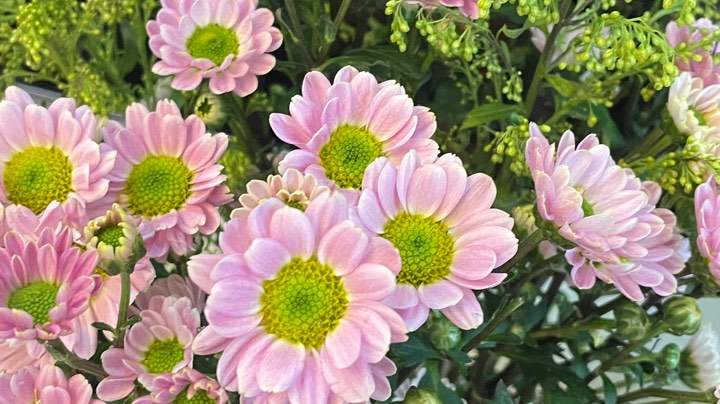 竞技