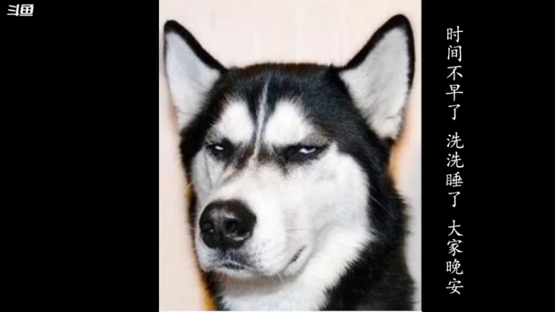 【2022-03-15 17点场】忽忽歪歪：浪的起飞啊