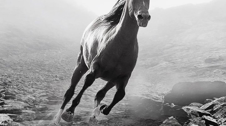 我用双手成就队友的梦想2