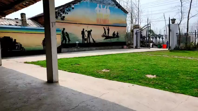 【2022-03-15 11点场】洪湖小肖：出发重庆  337852