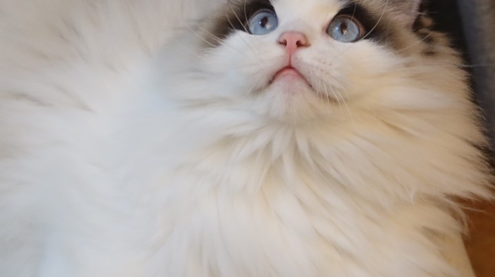 竞技