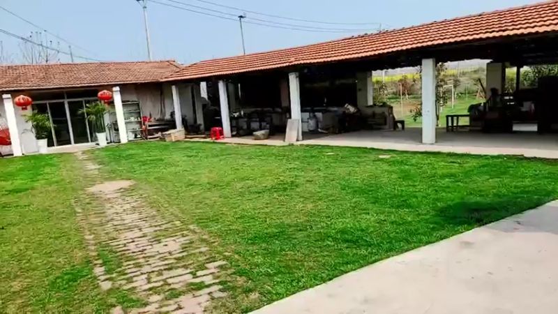 【2022-03-15 11点场】洪湖小肖：出发重庆  337852