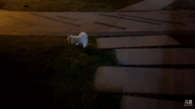 【2022-03-15 21点场】AMG小牧：晚上老银丰VS老苏荷~