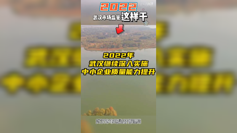 2022年，武汉市场监管这样干10