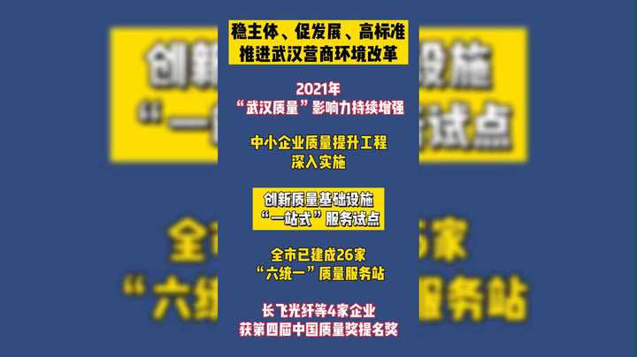稳主体、促发展、高标准推进武汉营商环境改革9