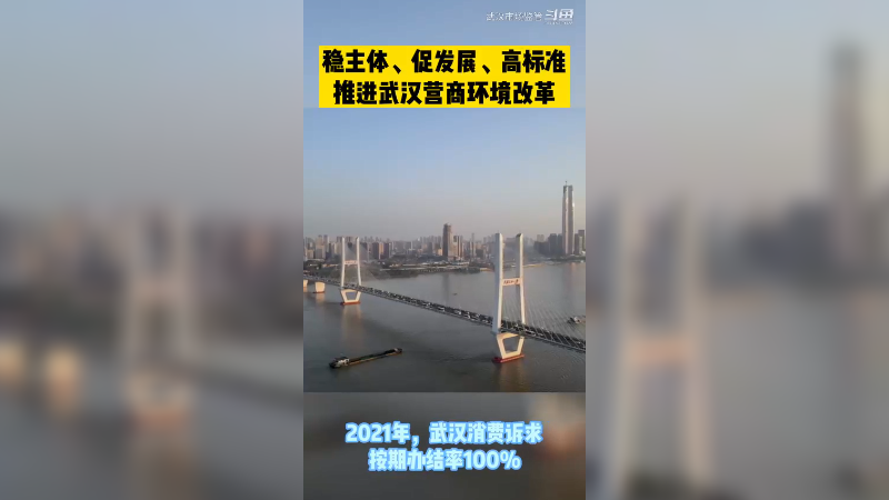 稳主体、促发展、高标准推进武汉营商环境改革8