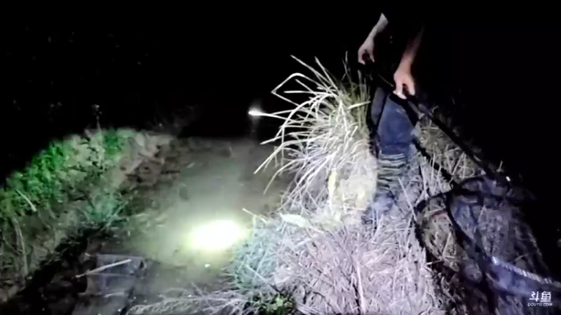 【2022-03-15 19点场】洪湖小肖：10点 PK   337852