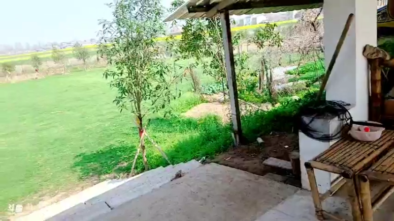 【2022-03-15 13点场】洪湖小肖：出发重庆  337852