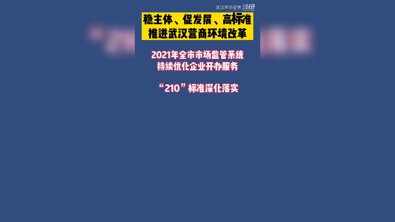 稳主体、促发展、高标准推进武汉营商环境改革6