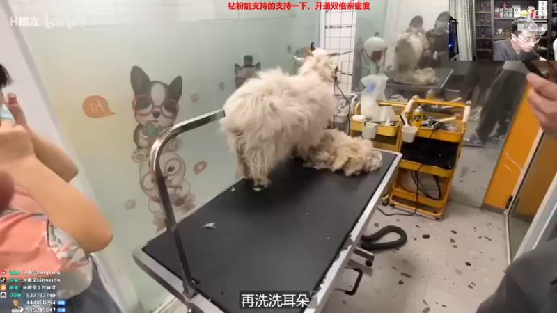 【2022-03-16 18点场】孙悟空丨兰林汉：孙悟空：新版本，我无敌了