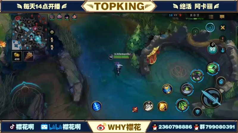 【2022-03-15 19点场】襟花啊：国一阿卡丽细节操作教学