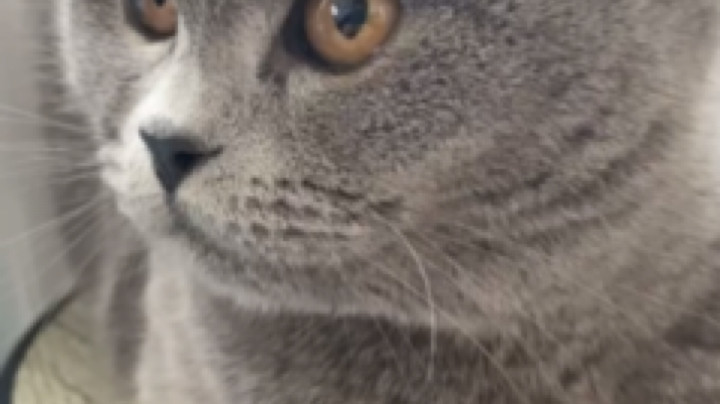 牛牛公主不怕困难发布了一个斗鱼视频2022-03-16