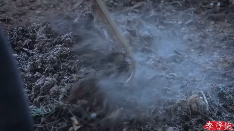 播各种种子，种芋头