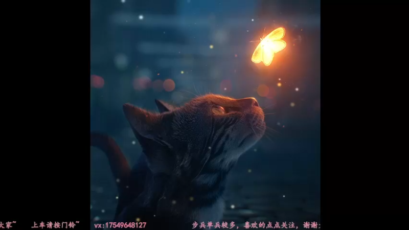 【2022-03-15 09点场】飞蛾小夏：从军--步兵单兵