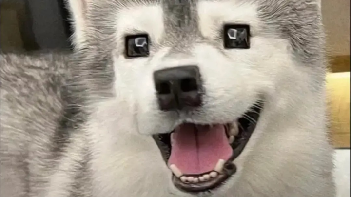 今朝的枪杀前朝的怪