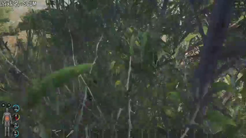 【2022-03-16 19点场】巴格拉斯：热爱生活，走进巴叔