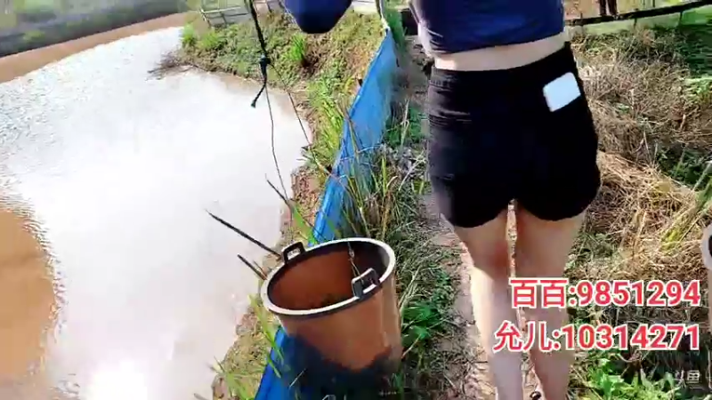 【2022-03-17 16点场】洪湖小肖：爱乐之村（欢迎新女嘉宾）337852