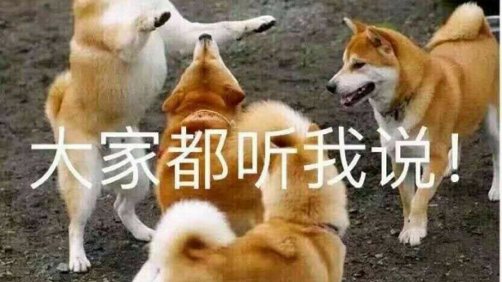 主播自己看的