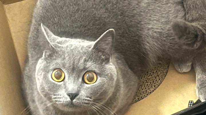 为什么玩双人成行也能吵架