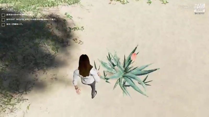荒岛求生！！！！！！