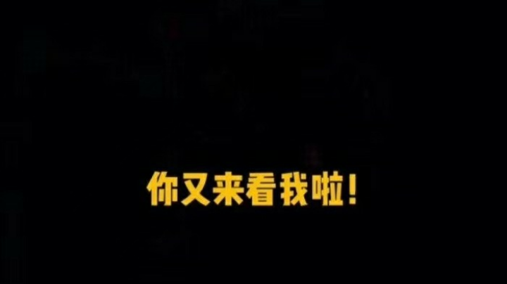 录像