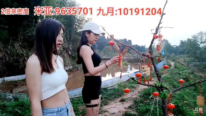 美女别看着树很普通，它的价值都可以买一辆车了