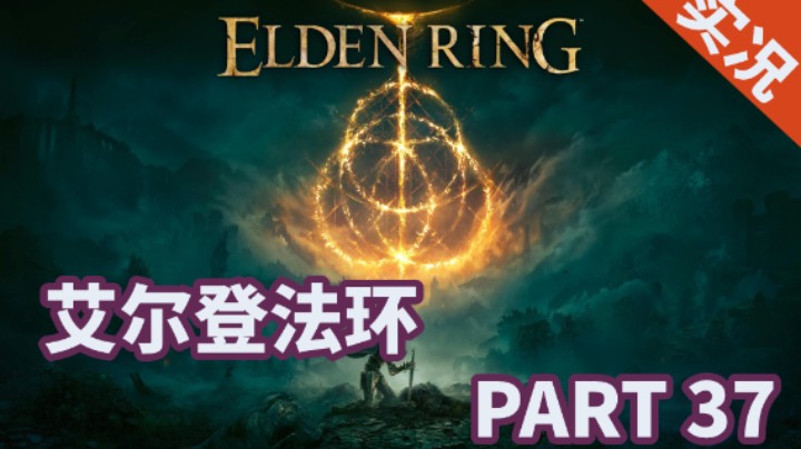 【小菜鸟】艾尔登法环 全流程攻略 PART 37 米凯拉的针（金针）