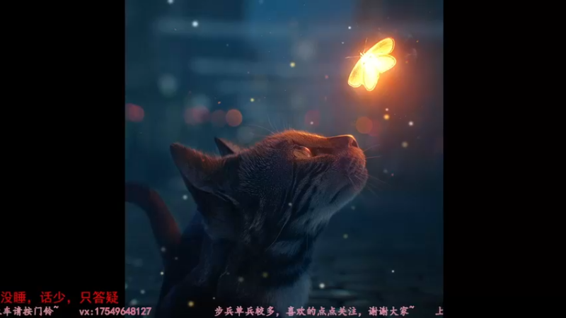 【2022-03-16 06点场】飞蛾小夏：从军--萌新导师~