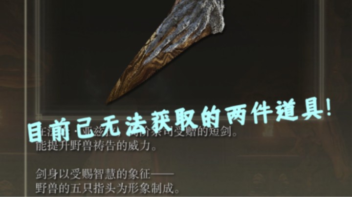 【艾尔登法环】目前已无法获取的两件道具！